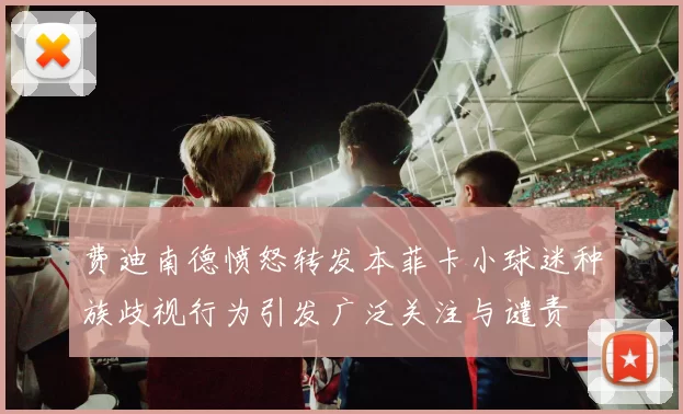 费迪南德愤怒转发本菲卡小球迷种族歧视行为引发广泛关注与谴责